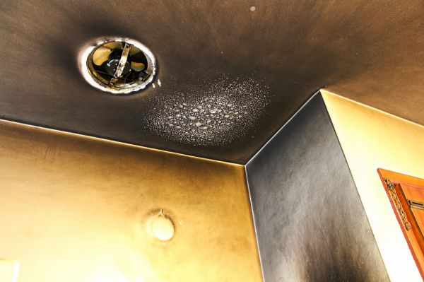 Cost of Smoke Damage Removal in Wheaton